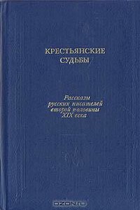 Путешествия мужиков - Николай Елпидифорович Каронин-Петропавловский