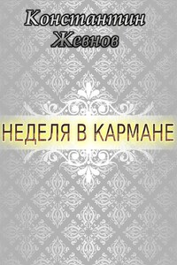 Неделя в кармане - Константин Александрович Жевнов