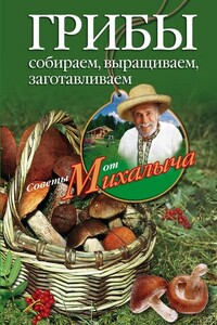 Грибы. Собираем, выращиваем, заготавливаем - Николай Михайлович Звонарев