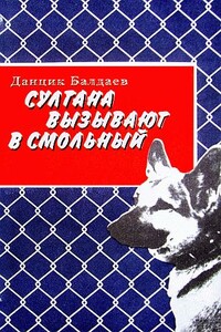 Султана вызывают в Смольный - Данцик Сергеевич Балдаев