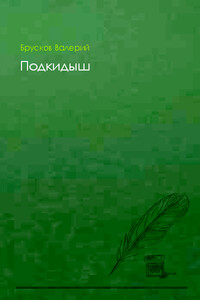 Подкидыш - Валерий Петрович Брусков