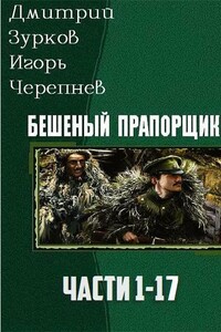 Бешеный прапорщик. Части 1-17 - Дмитрий Аркадьевич Зурков