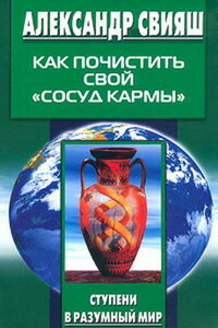 Как почистить свой «сосуд кармы» - Александр Григорьевич Свияш