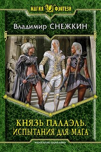 Князь Палаэль. Часть 2 - Владимир Евгеньевич Снежкин