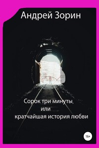 Сорок три минуты, или Кратчайшая история любви - Андрей Леонидович Зорин