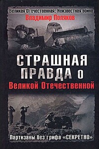 Страшная правда о Великой Отечественной. Партизаны без грифа «Секретно» - Владимир Евгеньевич Поляков