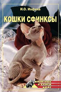 Кошки — сфинксы - Дарья Владимировна Нестерова