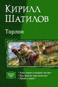 Под флагом серо-золотым - Кирилл Алексеевич Шатилов