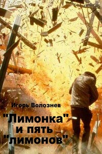 «Лимонка» и пять «лимонов» - Игорь Валентинович Волознев