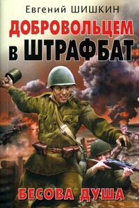 Добровольцем в штрафбат. Бесова душа - Евгений Васильевич Шишкин