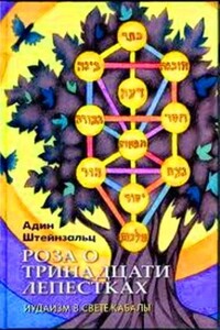 Роза о тринадцати лепестках - Адин Штайнзальц