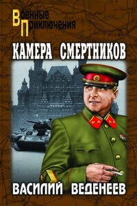 Камера смертников - Василий Владимирович Веденеев