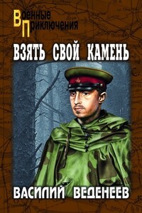 Взять свой камень - Василий Владимирович Веденеев