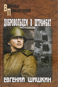 Добровольцем в штрафбат - Евгений Васильевич Шишкин