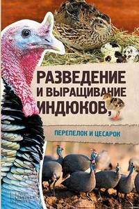 Разведение и выращивание индюков, перепелок и цесарок - Юрий Сергеевич Пернатьев