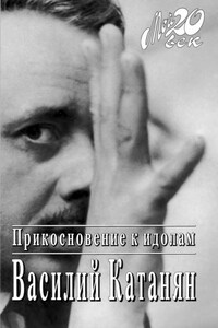 Прикосновение к идолам - Василий Васильевич Катанян