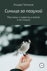 Синица за пазухой. Рассказы и новеллы о войне и не только - Ильдар Ханифович Гайнанов