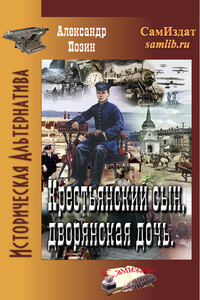 Крестьянский сын, дворянская дочь - Александр Геннадьевич Позин