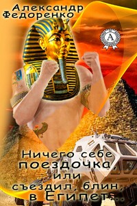 Ничего себе поездочка, или Съездил, блин, в Египет - Александр Владимирович Федоренко