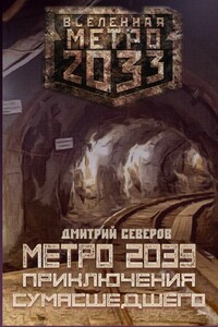 Метро 2039. Приключения сумасшедшего - Дмитрий Северов