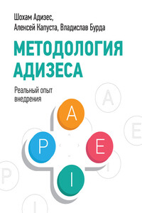 Методология Адизеса. Реальный опыт внедрения - Татьяна Кузнецова