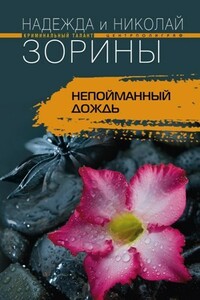 Непойманный дождь - Николай Зорин