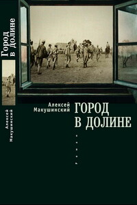 Город в долине - Алексей Анатольевич Макушинский