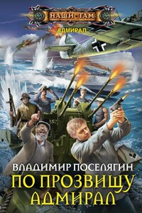 По прозвищу Адмирал - Владимир Геннадьевич Поселягин