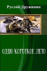 Одно короткое лето - Руслан Валерьевич Дружинин