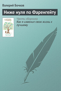 Ниже нуля по Фаренгейту - Валерий Борисович Бочков