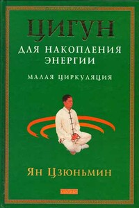 Цигун для накопления энергии. Малая Циркуляция - Ян Цзюньмин