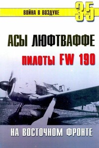 Асы люфтваффе. Пилоты Fw 190 на Восточном фронте - Альманах «Война в воздухе»