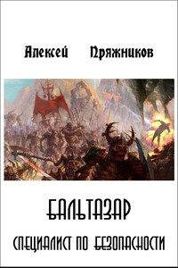 Бальтазар. Специалист по безопасности - Алексей Александрович Пряжников