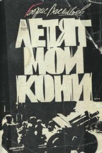 Кажется, со мной пойдут в разведку... - Борис Львович Васильев