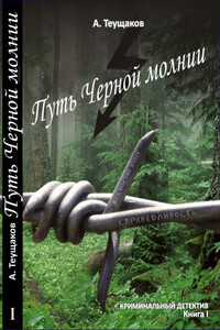 Путь «Чёрной молнии» - Александр Александрович Теущаков