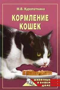 Кормление кошек - Марина Владимировна Куропаткина