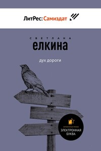 Дух дороги. Сборник рассказов - Светлана Юрьевна Елкина