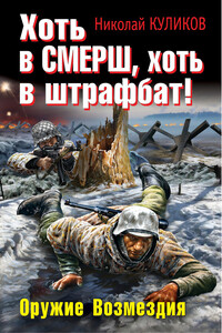 Хоть в СМЕРШ, хоть в штрафбат! Оружие Возмездия - Николай Юрьевич Куликов