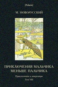 Приключения мальчика меньше пальчика - Михаил Васильевич Новорусский