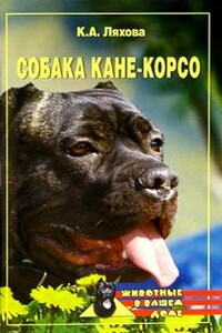 Собака Кане-Корсо - Кристина Александровна Ляхова