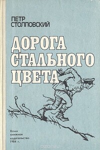 Дорога стального цвета - Пётр Митрофанович Столповский