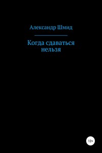 Когда сдаваться нельзя - Александр Витальевич Шмид