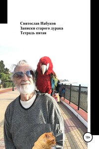 Записки старого дурака. Тетрадь пятая - Святослав Набуков