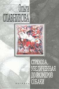 Стрекоза, увеличенная до размеров собаки - Ольга Александровна Славникова