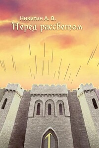 Перед рассветом - Александр Викторович Никитин