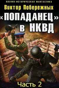 «Попаданец» в НКВД. Горячий июнь 1941-го. Часть 2 - Виктор Побережных