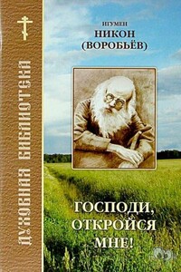 Господи, откройся мне - Никон