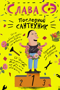 Последний сантехник - Вячеслав Солдатенко