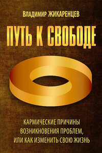 Путь к свободе. Кармические причины возникновения проблем, или Как изменить свою жизнь - Владимир Васильевич Жикаренцев