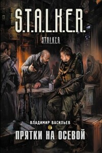 Прятки на осевой - Владимир Николаевич Васильев